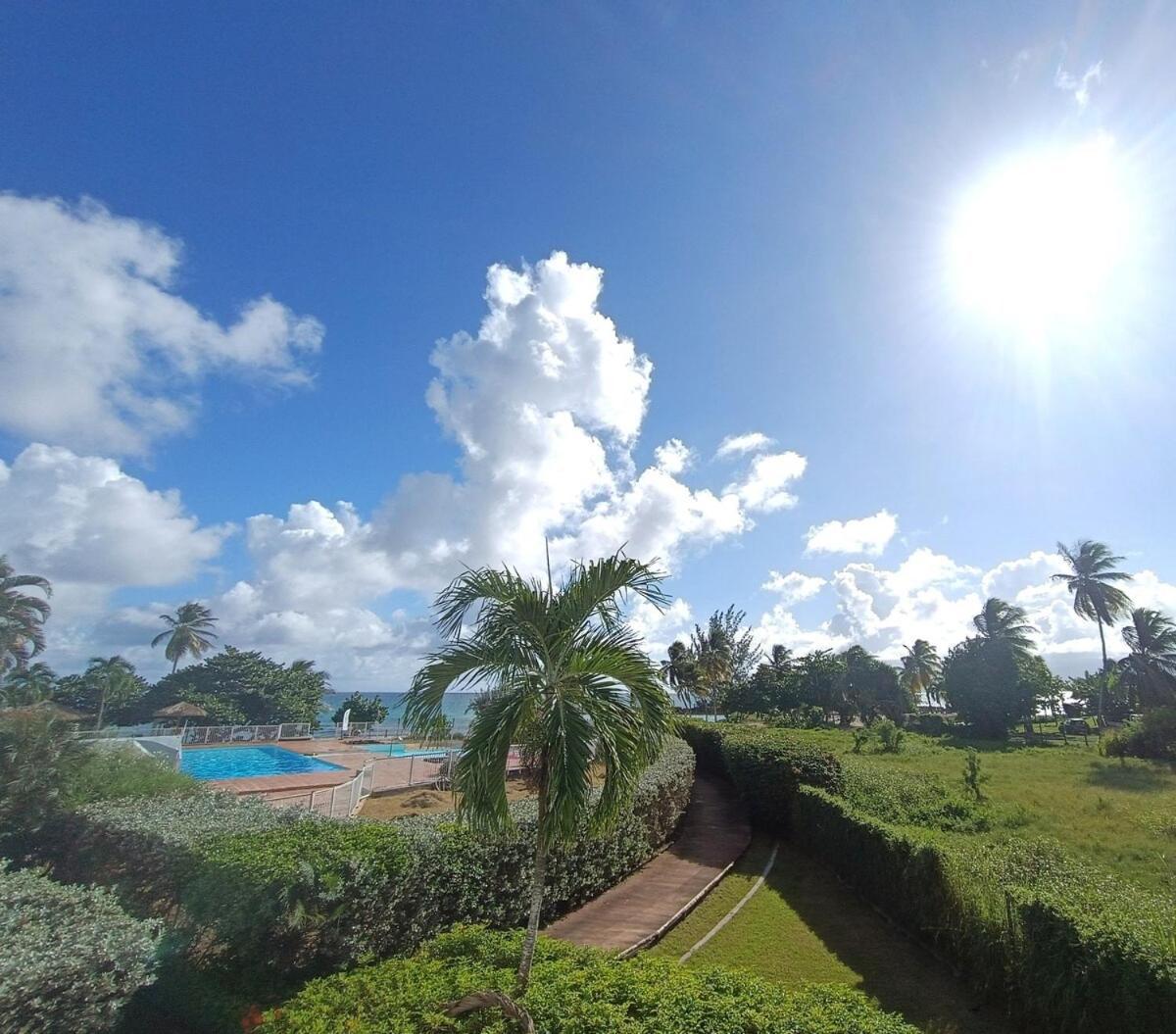 Studio Bord De Mer Gosier, Guadeloupe Le Gosier  Eksteriør bilde